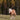 Galloping Through the Horse World