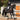 English and Western Horseback Riding Styles