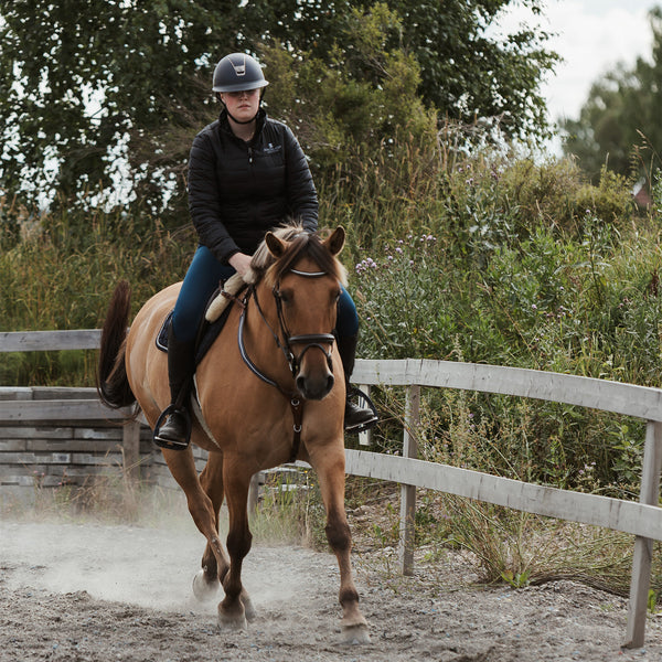 Why Horseback Riding Captivates Hearts?