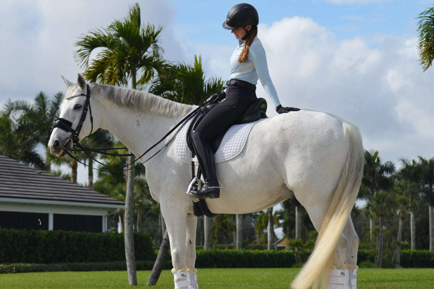 Should You Braid Your Horse’s Mane or Tail?