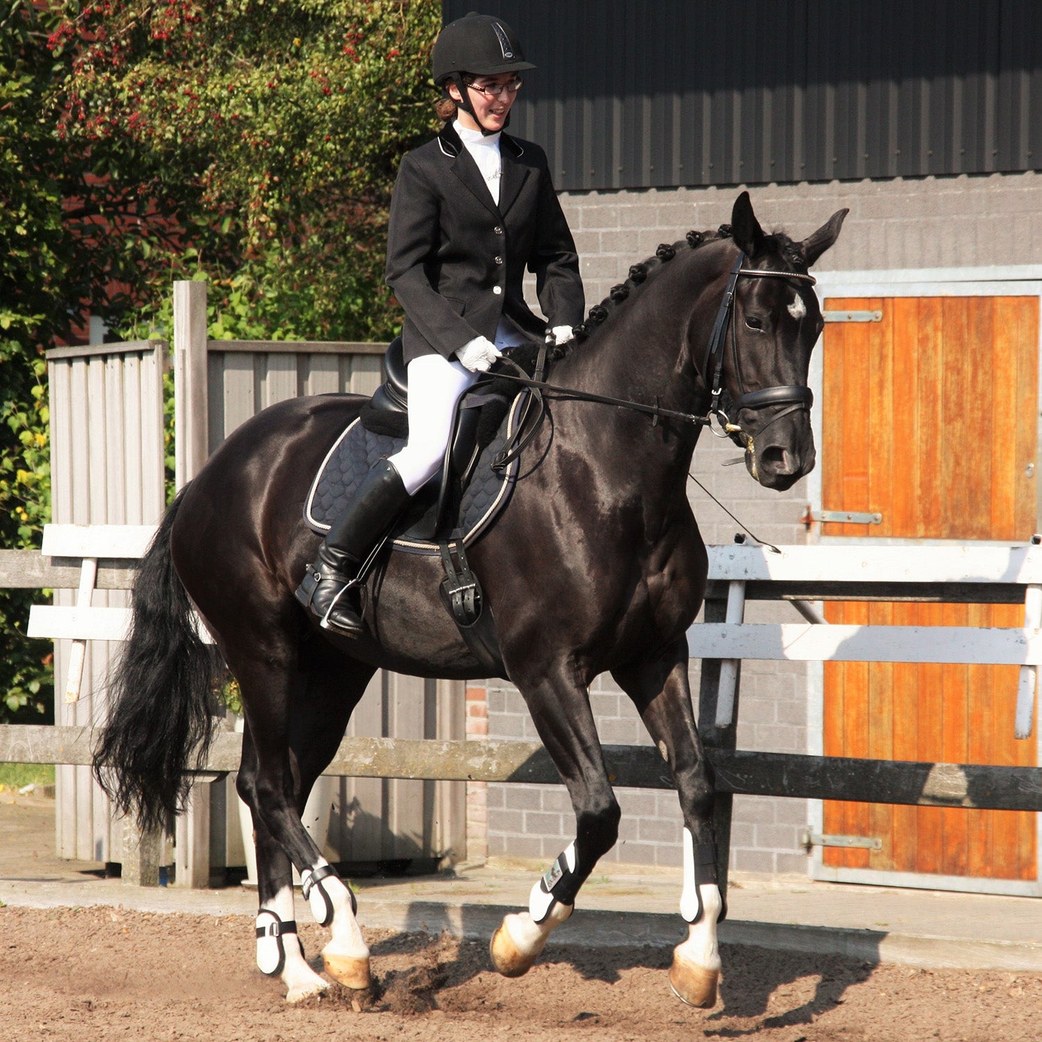 English Style Horseback Riding English Discipline And English Style Of