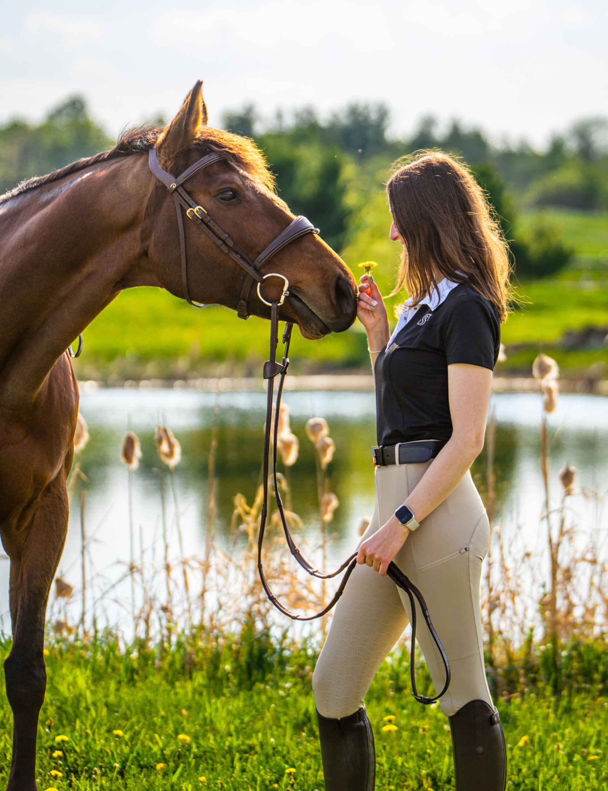 Women Full Seat Riding Tights Breeches
