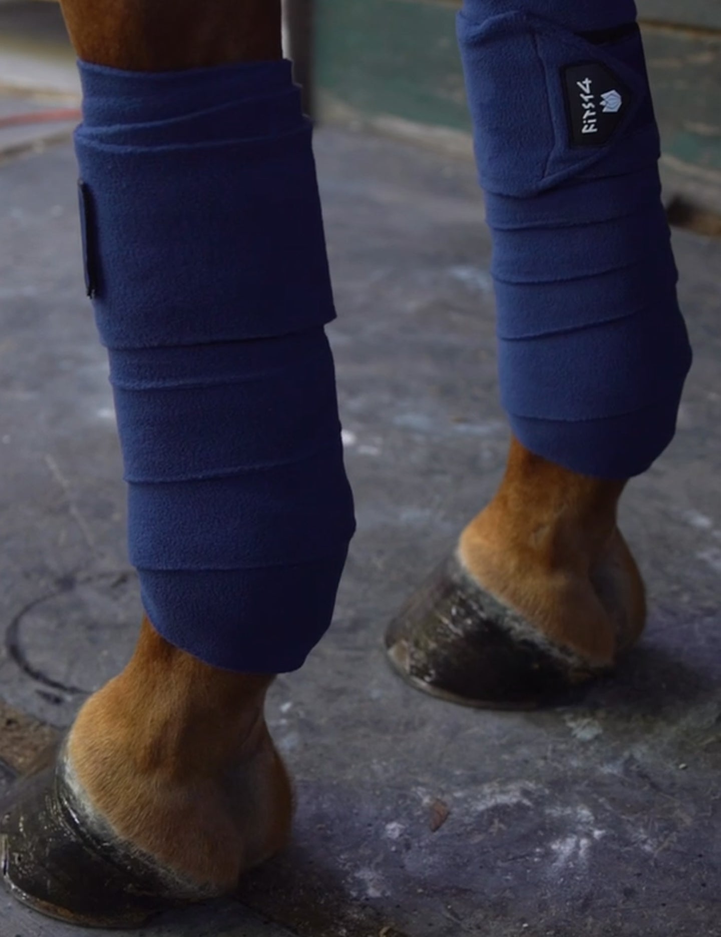 Horse Leg Wraps