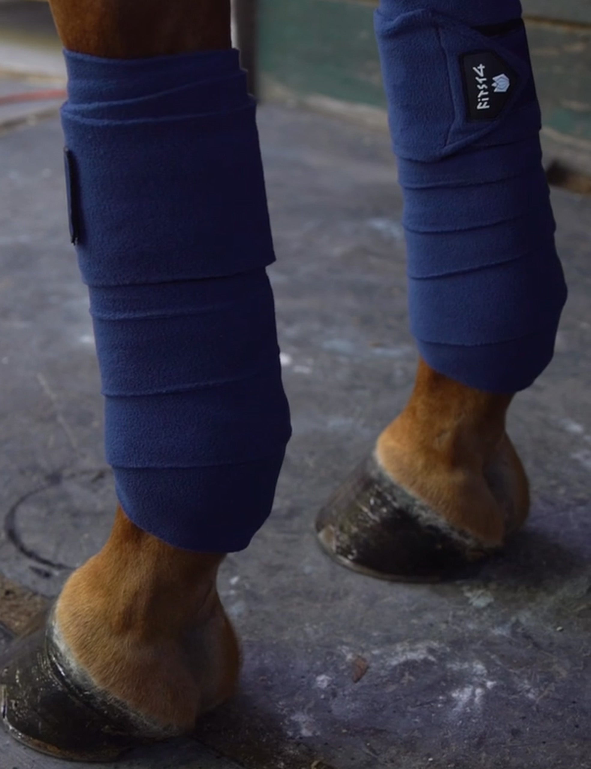 Horse Leg Wraps