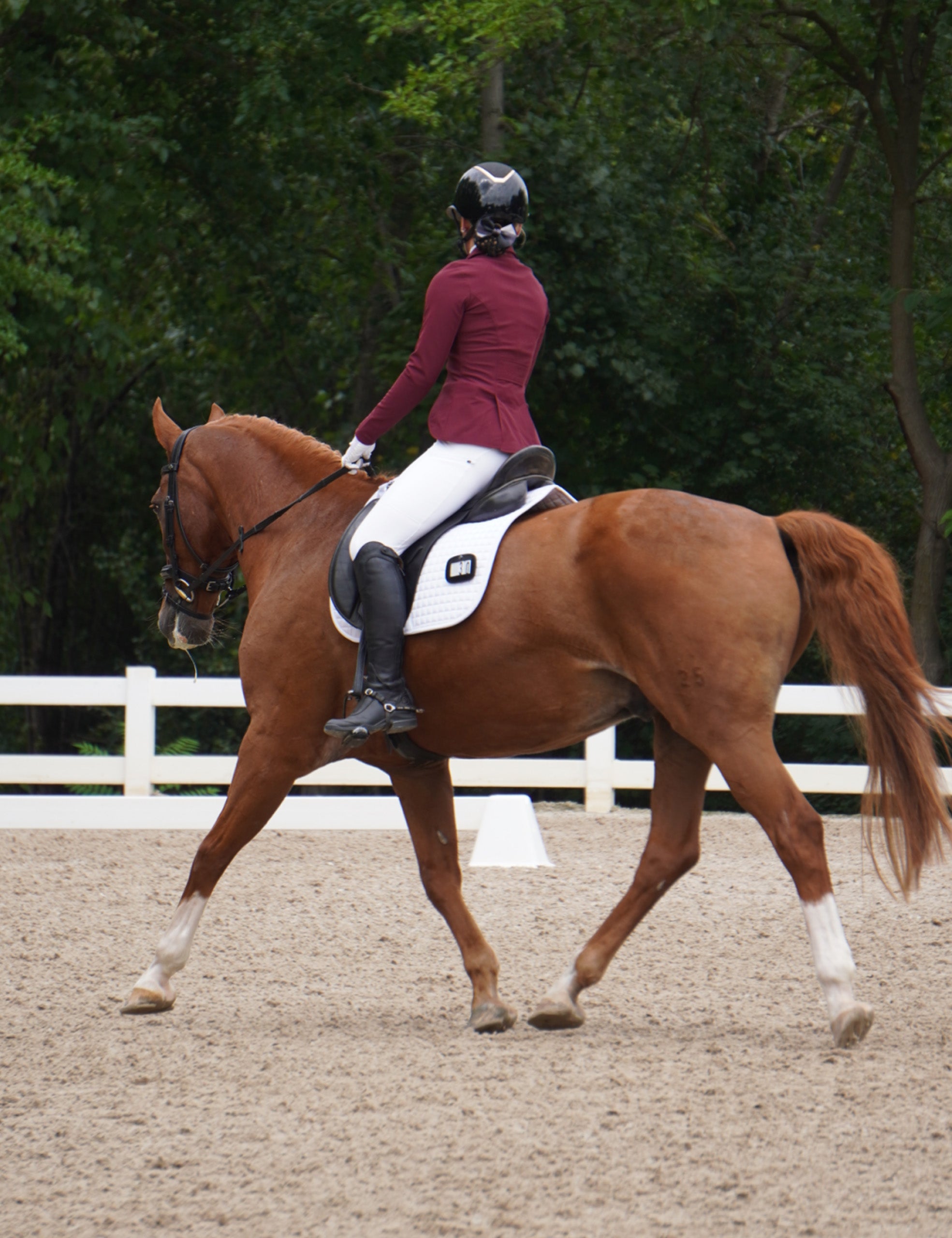 Women Full Seat Riding Tights Breeches